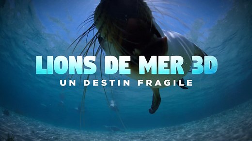 165 reactions · 29 shares |  Entre une falaise escarpée et un océan...