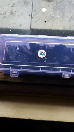 vij on Instagram: "Springtails serve as the essential "clean-up crew" in a terrarium by consuming mold, decaying plant matter, and fungi that could otherwise harm the ecosystem. Their presence creates a self-sustaining cycle that helps aerate the soil and recycle nutrients back to the living plants. #terrariumlove #terrariumplants #terrariumhobby #terrariums #terrariumdesign #springtails"