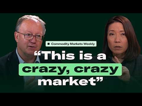 Gold hits $5,300: Mining expert reveals which stocks he's looking at in 2026