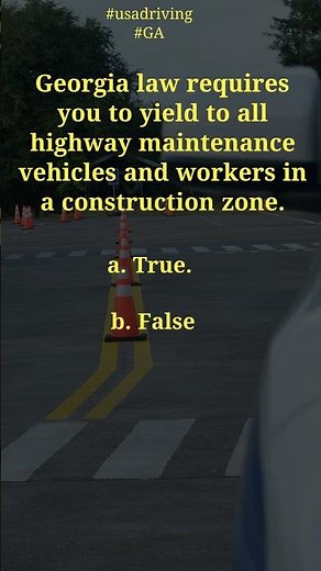 Georgia DMV Permit Test | Sample Questions