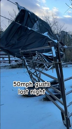 Glad none of the horses blew away!