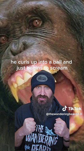 Horrific Chimpanzee Attack: Andrew Oberle's Survival Story