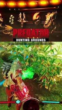 Sometimes You Have to Let Them Escape