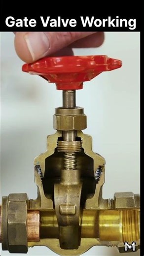 How a Gate Valve Works! 🚰 (Inside View) #shorts