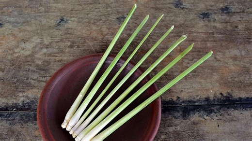 The Lure of Lemongrass: Southeast Asian Flavor Captivating Chefs Worldwide