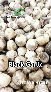 HGFM-600 Commercial Black Garlic Fermentation Machine to make Excellent Black Garlic automaticlly