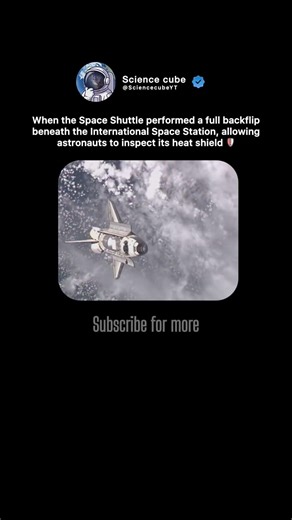 The Space Shuttle's Orbital Flip for Survival