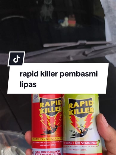 Effective Solutions for Rapid Cockroach Control