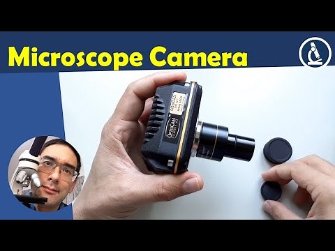 🔬 USB Microscope Camera review | Amateur Microscopy