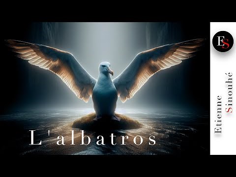 L'ALBATROS - Charles BAUDELAIRE - Lecture de poésie - Les fleurs du mal - Etienne Sinouhé