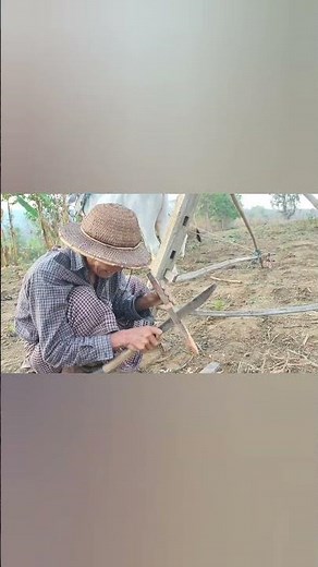 Myanmar Village: Preparing to plow the field