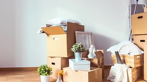 Fayetteville, NC _City App _ Trash Pick-up