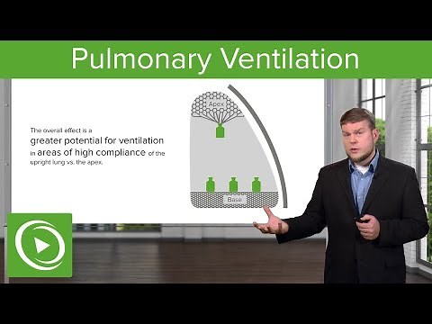 Pulmonary Ventilation: Breathing and Lung Mechanics – Physiology | Lecturio