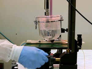 Functional Neuroimaging Using Ultrasonic Blood-brain Barrier Disruption and Manganese-enhanced MRI