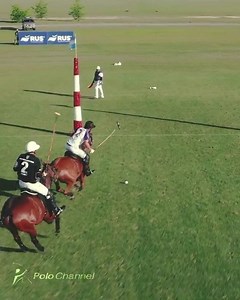 "Talent wins games, but teamwork and intelligence win championships." --Michael Jordan 🎥: @horseplay.tv . . . #thisispolo @espnpolo @lucas_raimondo #motivation #success #teamwork #michaeljordan #quote #motivationalquote #polo #horsepolo #highgoal #toplevel #goal #talent #championship #nike #horsesofinstagram #horsesofinsta #workhard #grind #insync | Polo Channel