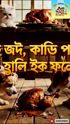 **Funny Dogs Fight Over Chicken 🍗😂 | Hilarious Dog Kitchen Chaos | Pet Jokes Hub**