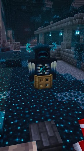 Capitaine Kirk on Instagram: "3 SECRETS que TU n'as JAMAIS VU sur Minecraft ! #minecraft #minecraftbuild #build #tutorial #minecrafttutorial"