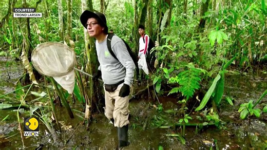 27 New Species Discovered in Peru’s Amazon, Including 'Amphibious Mouse' and 'Dwarf Squirrel