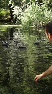 Put the best decoy motion in your spread this year. 10% discount in August, use code 'aug10'. | Motion Ducks