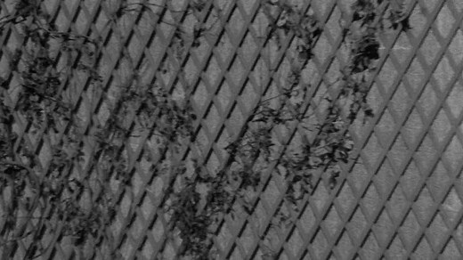 Les.Diaboliques.1955.720p.DUAL.DCRG fr