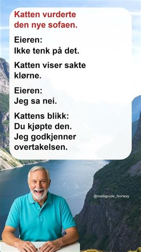 Katten vurderte den nye sofaen #norskvits #norskhumor #hverdagshumor d norwegian no 2 2