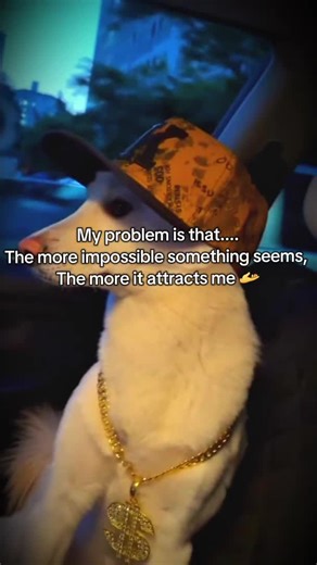 The Allure of Impossible Challenges in Life