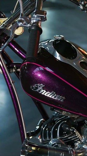 Purple Haze - Bike Farm Melle