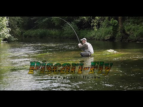 Syndicate Reaver Fly Rod reviewed by Piscari Fly🎣🔥