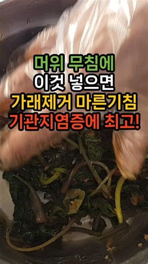 머위에 이것 넣으면 가래제거, 마른기침, 기관지염증에 최고 호흡기질환에좋은음식 #가래제거 #마른기침 #기관지염증