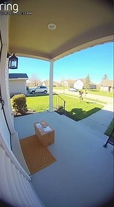 Delivery Driver Chases Hat Across Entire Yard