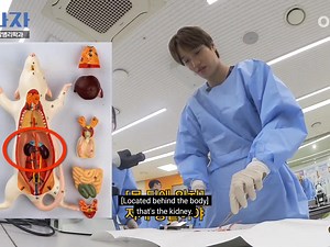 15K views · 496 reactions | KAI dissecting a lab rat 﫣 https://youtu.be/Y4-Cm2GFtB4 #KAI #카이 #엑소 #EXO | Byul | Facebook