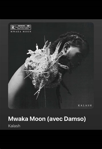 UN PEU D’AMSTERDAM DANS LA BOUCHE Mwaka Moon - Damso X Kalash Abonnez vous pour refaire votre playlist 🕺🕺 #music #rapfr #soirée #pourtoi #viral
