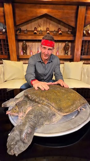 Sonny on Instagram: "GIANT Soft Shell Turtle 🐢 Full Video Title on YouTube: Legally Eating Endangered Animals in Vietnam!! This is Episode 1 of our New Series: 🇻🇳 VIETNAM BIZARRE FARMS Enjoy! Ah peace~"