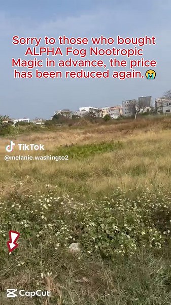 Fully loaded alpha fuel Mango pouches #fullyloaded #fullyloadedalphafuel #alphafuel #nootropic #nootropics #brainhealth #pouches #TikTokShop #tiktokshopaffiliate