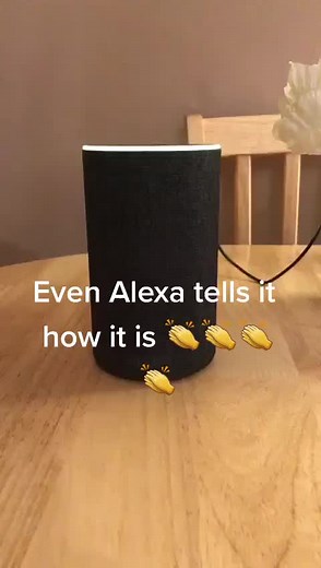 Humorous Alexa Responses That Will Make You Laugh