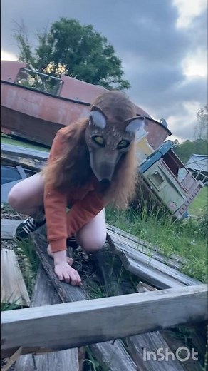 Hoary fox walking through #quadrobics #therian #alterhuman #nonhuman #otherhearted #furry