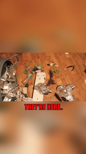 something paranormal just knocked this trash can over... | Jesse Tyler Ridgway