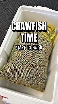 Crawfish Time from Start to Finish