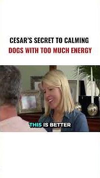 Cesar’s Secret to Calming Dogs With Too Much Energy