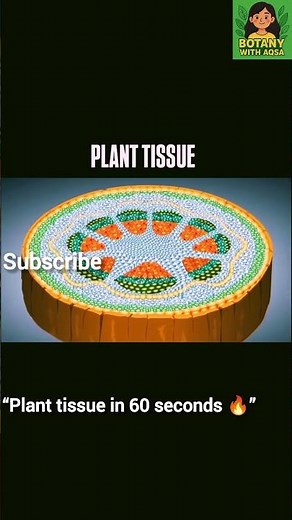 Types of Plant Tissues 🌱 | Meristematic vs Permanent | Quick Biology