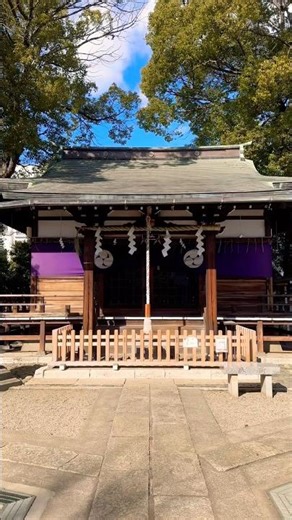 東京・杉並、成宗須賀神社の静かな境内で心身を浄化する 🌿 Ancient Sanctuary.