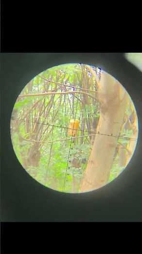 #slingshort Composite slingshot, with precise power.#short