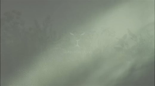 Herbs-for-Lions-Brand-Identity-Digital-Ecosystem