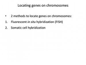 Locating genes on chromosomes - SlideServe
