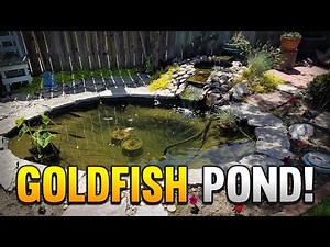 My 500 Gallon Outdoor Goldfish Pond And Waterfall!