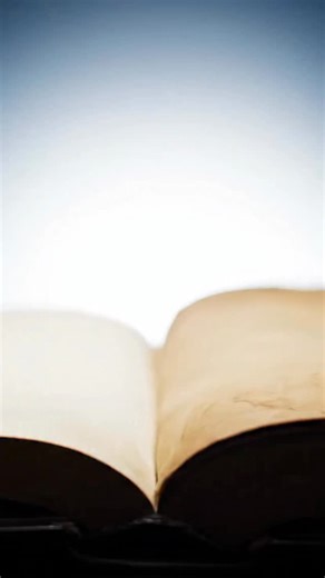 💙 HAPPY ADOPTION DAY, BLUE! 💙 From being quietly “stalked” on Petfinder to finding his forever home, sweet Blue’s journey is everything we love about rescue. 🐾 His adopter shared it best: “We lost two dogs in 2025 and I’m always looking on Petfinder for little heelers that need a new home. I started seeing Blue on Petfinder in November and then I started following him on the PNWCDR’s page on Facebook. Of course, I didn’t tell anybody about this at home because we already have four dogs. I let