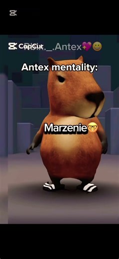 Antex mentality💀