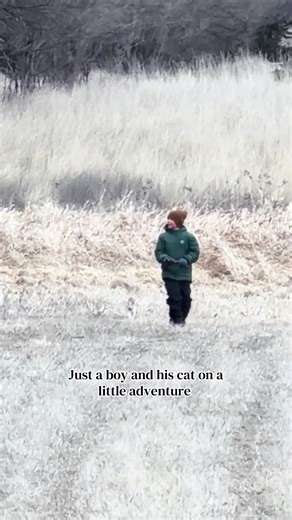 A Boy and His Cat: A Little Adventure