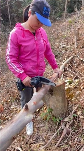 It's an electric axe which can be used for cutting wood and carpentery