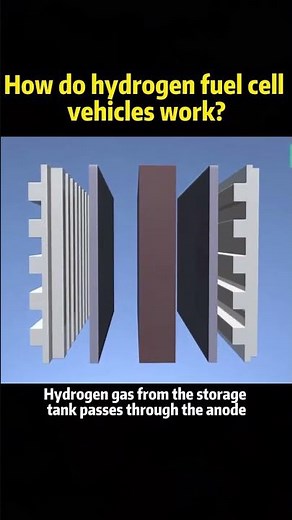 How do hydrogen fuel cell vehicles work? #knowledge #science